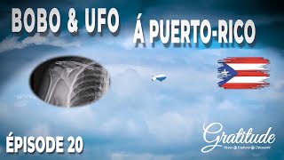 VOILIER GRATITUDE  EP 20  BOBO et UFO a PUERTORICO [upl. by Chin718]