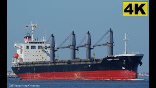 GLOBAL AGLAIA  Shipspotting Germany 🇩🇪 IMO 9737149  Elbe near MüggendorfGlameyer Stack 4K VIDEO [upl. by Ettelrats582]