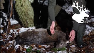 Jagd in der Schorfheide  Zu Besuch bei unsereJagd [upl. by Dorren208]