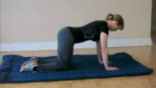 Best Exercises to Reduce Low Back Pain The Bird Dog and Variations [upl. by Aguayo]