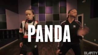 Designer Panda Dance [upl. by Moreen]