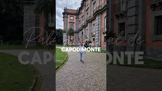 Palácio de Capodimonte Nápoles shorts shortvideo napoles napoli capodimonte viagem travel [upl. by Yr]