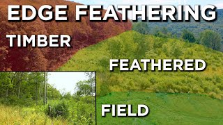 Summer Time Deer Habitat Improvement Projects  Edge Feathering [upl. by Atikam225]