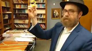 How to make a lulav ring in ten seconds [upl. by Renrag901]