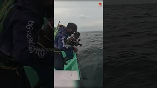 Catching King Fish in the Deep Sea fishing fishingvideo oceanfishing [upl. by Valma167]