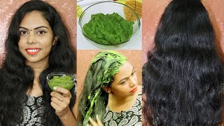 DIY Rosemary oil amp water for hair growth in tamil 🎀👱‍♀️tamil [upl. by Arsuy]