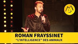 Roman Frayssinet  quotLintelligencequot des animaux [upl. by Curley]