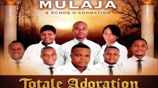 Molongi Franck Mulaja et Echos dadoration  Worship Fever Channel [upl. by Hoag]