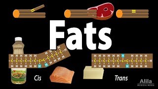 BetaOxidation of Fatty Acids in hindi  Lipid Metabolism  Biochemistry [upl. by Edd]