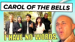 Classical Musicians Reaction amp Analysis PENTATONIX  CAROL OF THE BELLS [upl. by Buckden]