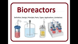 Bioreactors Function and Types  2024 [upl. by Lyndon275]