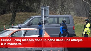 Suisse  cinq blessés dont un bébé dans une attaque à la machette [upl. by Keen]