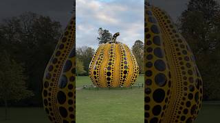 Yayoi Kusama London kusama art exhibition explore japanese london shorts [upl. by Schaper]