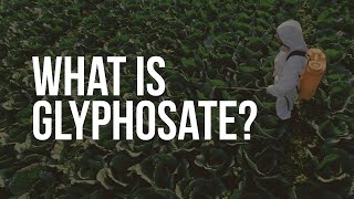 EWG Explains Glyphosate [upl. by Marentic30]