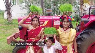 dammannapet thandamariyayi thanda01082024  teej celebration ఘనంగా తీజ్ ఉత్సాహ సంబరాలు [upl. by Riem]