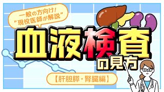 血液検査の見方①【肝胆膵・腎臓編】 〜 一般の方向け！“現役医師が解説quot 〜 [upl. by Kussell739]