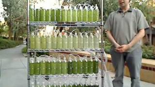 An Algae Bioreactor from Recycled Water Bottles [upl. by Hynes]