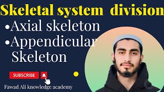 skeletal system divisionAxial and Appendicular skeleton [upl. by Baerl]