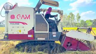 Ruilong combine harvester new model 2024  ￼ Gira hua Dhan Kat Leta Hai  harvester machine💥 [upl. by Eilak]