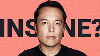 Do You Really Want To Be Me  Elon Musk [upl. by Apicella304]