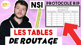 LES PROTOCOLES DE ROUTAGE RIP et OSPF  NSI Terminale [upl. by Niu989]