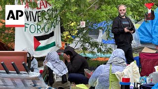 Wayne State University suspends inperson classes due to proPalestinian camp [upl. by Atiuqes21]