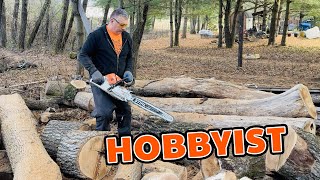 Keeping A Chain Sharp as A Firewood Hobbyist [upl. by Eltsyek]