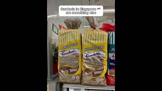 Singapore Gardenia bread not the same as Malaysia rotigandum makanlokal sedap [upl. by Jezrdna859]