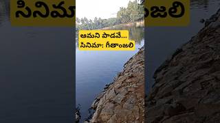 Aamani paadave  Geetanjali  Nagarjuna  Telugu  superhitsongviral short video తెలుగు [upl. by Alyekahs]