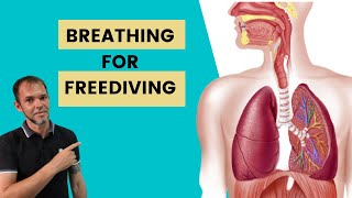 Mastering Breathing A StepbyStep Guide for Beginner Freedivers  Part 1 [upl. by Kelcie]