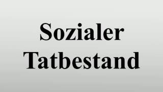 Sozialer Tatbestand [upl. by Tomi]