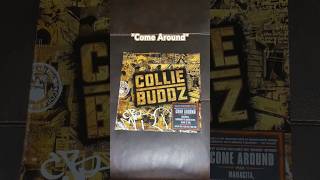 quotCome Aroundquot by Collie Buddz from the self titled album colliebuddz vinyl reggae ganjaman [upl. by Auqinat]