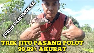 cara pasang pulut yang benar untuk burung kutilang yang tau dengan pulut [upl. by Aramahs]