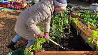 Community garden above an old air raid shelter claims gardening award [upl. by Clive661]