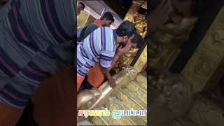 சுவாமி ஐயப்பன் பாடல்  king ayyappa swamy  pandala Raja ayyappa swamy song in tamil [upl. by Noland343]