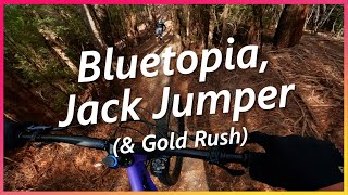 Bluetopia amp Jack Jumper  Wild Mersey [upl. by Elletsyrk]