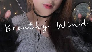 ASMR Ｂｒｅａｔｈｙ Ｗｉｎｄ 🌙 [upl. by Hbahsur]