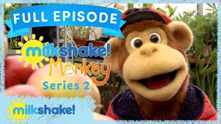 Milkshake Monkey  Pick Your Own  Full Episode [upl. by Swerdna932]