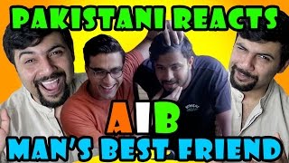 Pakistani Reacts to AIB Mans Best Friend [upl. by Nomelif]