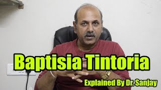 Baptisia Tintoria Explained By Dr Sanjay [upl. by Ahtel]