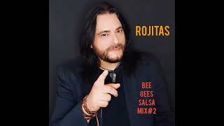 Rojitas  Bee Gees Salsa Mix  2 [upl. by Aikemal]