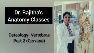 Osteology of Vertebrae Part 2 Cervical by Dr Rajitha Vanga [upl. by Refenej]