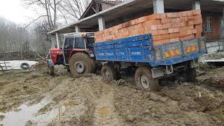 Massey Ferguson 286 Gold [upl. by Suhploda]