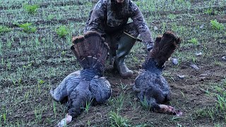 spring turkey season 2024 part 2 podcast [upl. by Ahaelam]