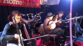 Washago Music Festival  EverLovin Jug Band  Babe the Dog [upl. by Ycats9]