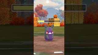 When I used Morpeko in battle with form change 😳 Pokemon go [upl. by Brita]