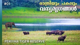 Edapalayam Watch Tower  Nature Walk  Periyar Tiger Reserve  Thekkady tourist places  4K UHD [upl. by Kalina]