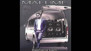 Bashana Bami  Bootleg Remix    Ft Ben Produces  Malume  Simmytainment [upl. by Janet]