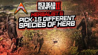 RDR2 Herbalist 6  Pick 15 Different Species of Herb [upl. by Ruthanne]