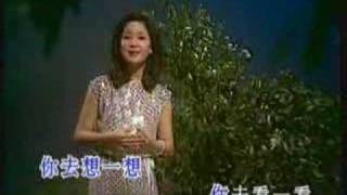 The Moon Represents My Heart  Teresa Teng [upl. by Eniarrol]